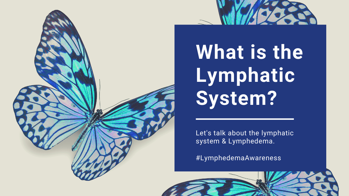 Nightingale Blog_What is the Lymphatic System