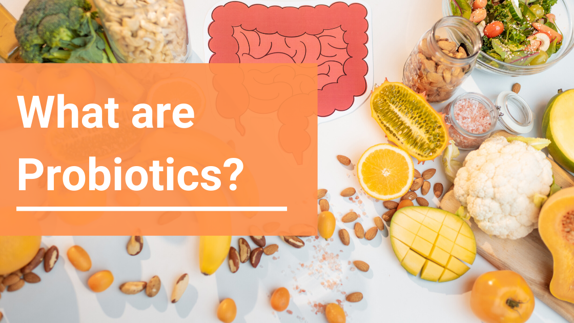 Nightingale Blog_What are probiotics?