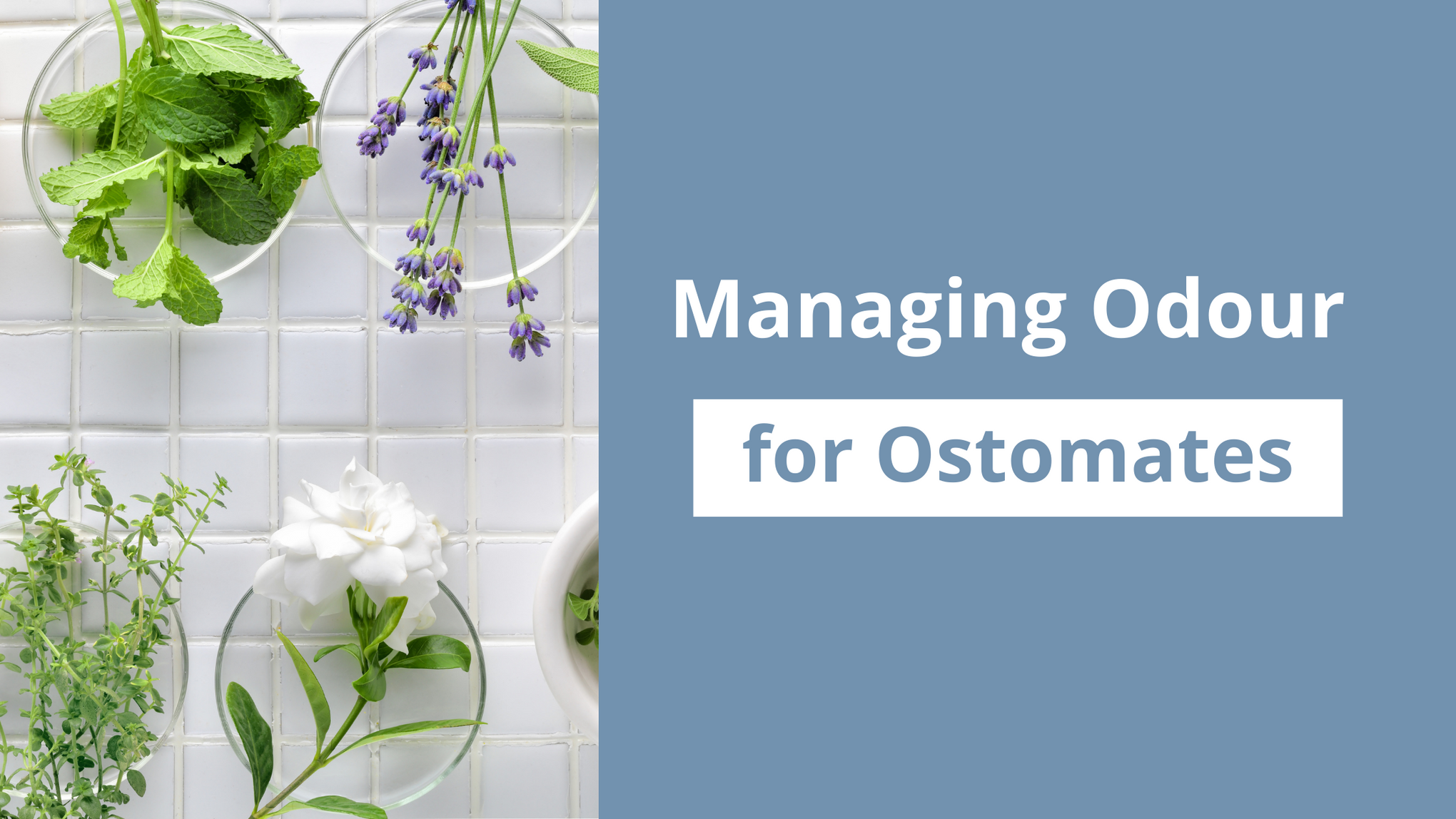 Managing Odour for Ostomates_Ostomates_Nightingale Medical Supplies