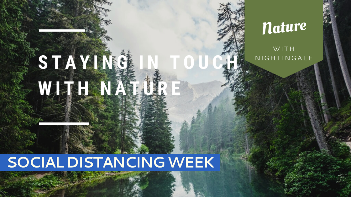 Nature with Nightingale